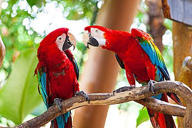 《死亡之夜》更新上线 追加角色捏体以及新丧尸等